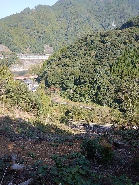 林業怪談　その1